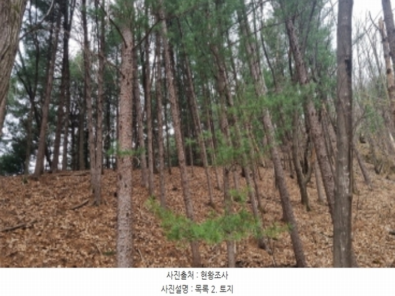 2024타경73851 경기도 가평군 북면 백둔리 446-1 임야 경매 이미지