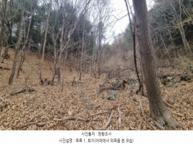 2024타경73851 경기도 가평군 북면 백둔리 446-1 임야 경매 이미지