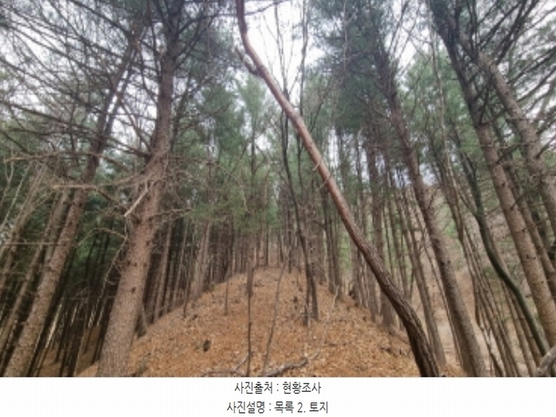 2024타경73851 경기도 가평군 북면 백둔리 446-1 임야 경매 이미지