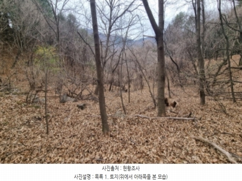 2024타경73851 경기도 가평군 북면 백둔리 446-1 임야 경매 이미지