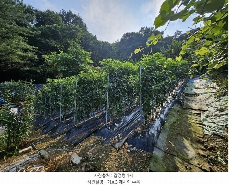 2024타경79125 경기도 남양주시 별내면 용암리 산2-9 임야 경매 이미지