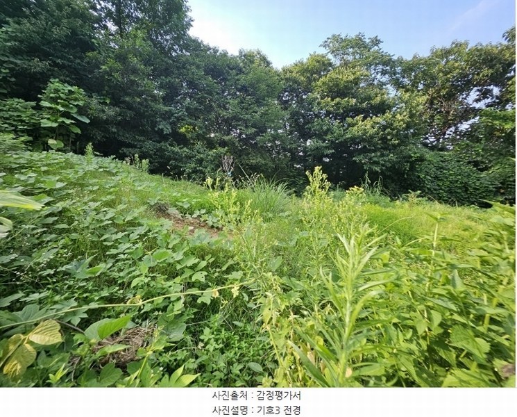 2024타경79125 경기도 남양주시 별내면 용암리 산2-9 임야 경매 이미지