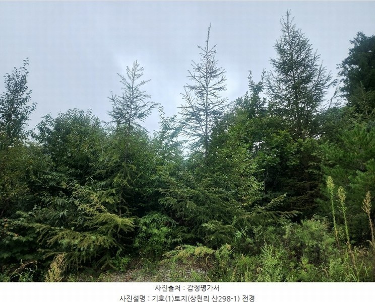2024타경79606 경기도 가평군 청평면 상천리 산298-1 임야 경매 이미지