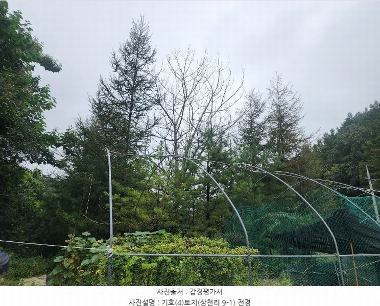 2024타경79606 경기도 가평군 청평면 상천리 산298-1 임야 경매 이미지