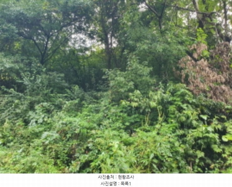 2024타경79606 경기도 가평군 청평면 상천리 산298-1 임야 경매 이미지