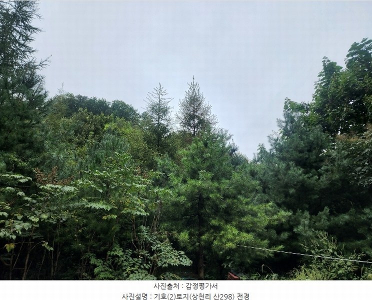 2024타경79606 경기도 가평군 청평면 상천리 산298-1 임야 경매 이미지
