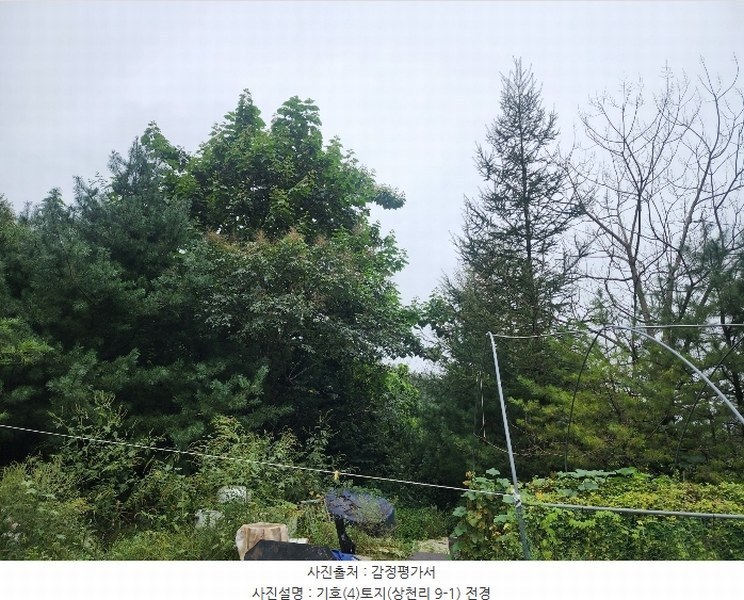 2024타경79606 경기도 가평군 청평면 상천리 산298-1 임야 경매 이미지