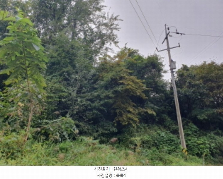 2024타경79606 경기도 가평군 청평면 상천리 산298-1 임야 경매 이미지