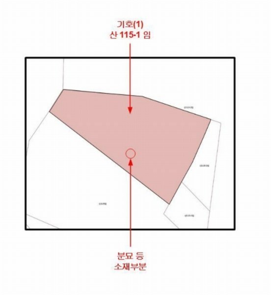 2024타경79989 경기도 남양주시 진접읍 팔야리 산115-1 임야 경매 이미지
