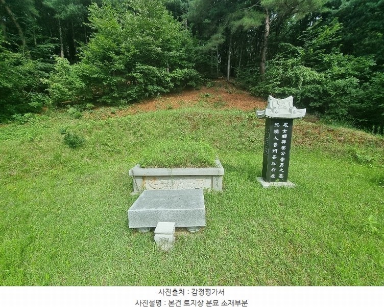 2024타경79989 경기도 남양주시 진접읍 팔야리 산115-1 임야 경매 이미지