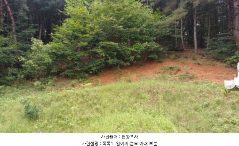 2024타경79989 경기도 남양주시 진접읍 팔야리 산115-1 임야 경매 이미지