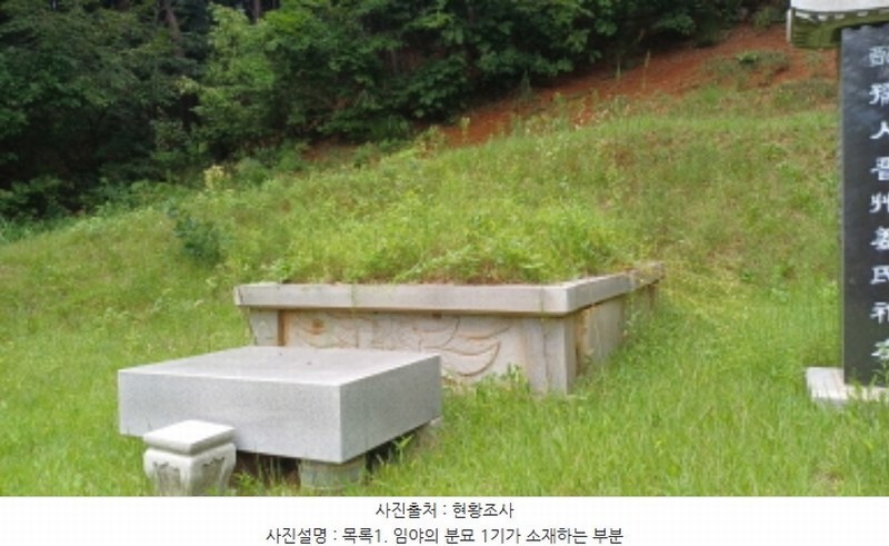 2024타경79989 경기도 남양주시 진접읍 팔야리 산115-1 임야 경매 이미지