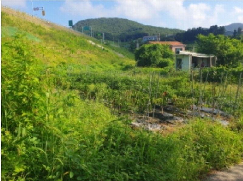 2024타경80958 경기도 남양주시 화도읍 월산리 460-1 농지 경매 이미지