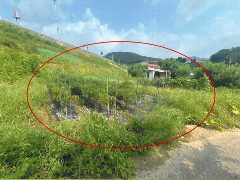 2024타경80958 경기도 남양주시 화도읍 월산리 460-1 농지 경매 이미지