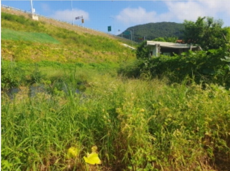 2024타경80958 경기도 남양주시 화도읍 월산리 460-1 농지 경매 이미지