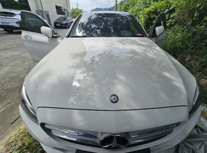 2024타경81012 경기도 남양주시 화도읍 금남리 431, 아시아종합물류 C220 BlueTEC 경매 이미지