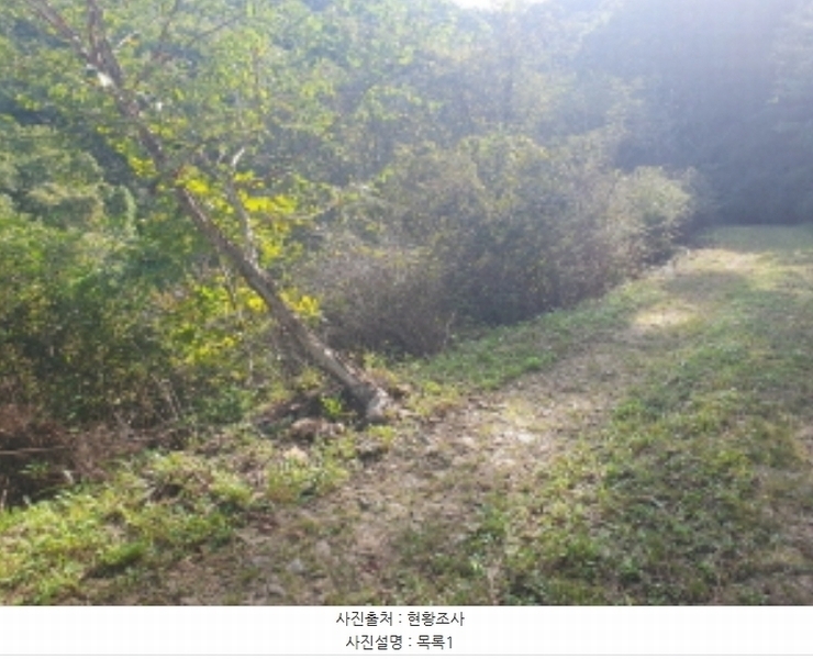2024타경81692 경기도 남양주시 수동면 내방리 산32-129 임야 경매 이미지