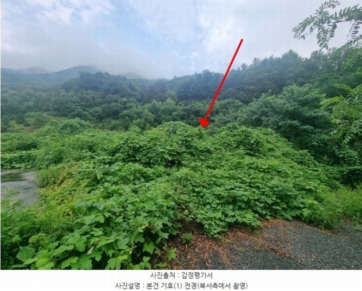 2024타경82015 경기도 남양주시 진접읍 금곡리 59-15 공장용지 경매 이미지