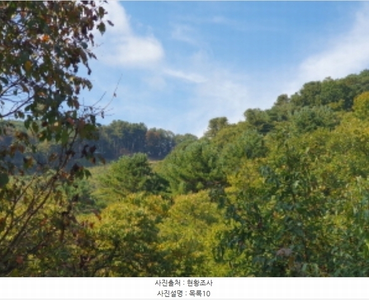 2024타경82350 경기도 가평군 상면 임초리 454 임야 경매 이미지