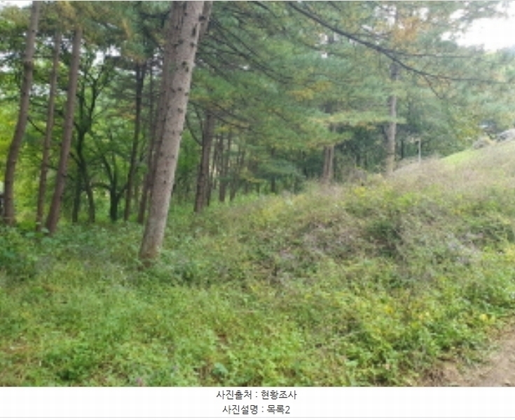 2024타경82350 경기도 가평군 상면 임초리 454 임야 경매 이미지