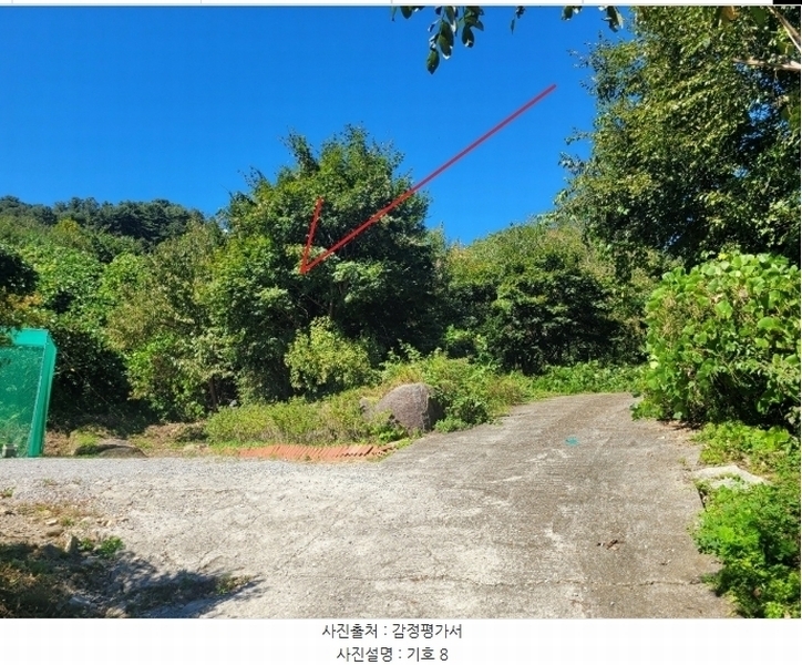 2024타경82350 경기도 가평군 상면 임초리 454 임야 경매 이미지