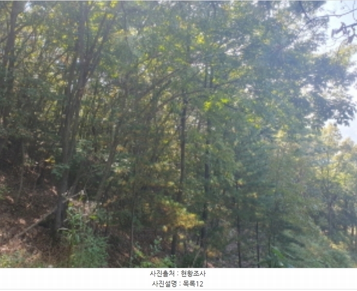 2024타경82350 경기도 가평군 상면 임초리 454 임야 경매 이미지