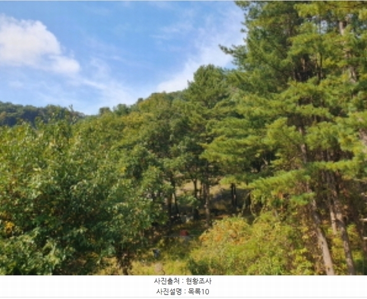 2024타경82350 경기도 가평군 상면 임초리 454 임야 경매 이미지
