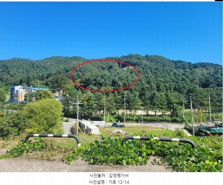 2024타경82350 경기도 가평군 상면 임초리 454 임야 경매 이미지