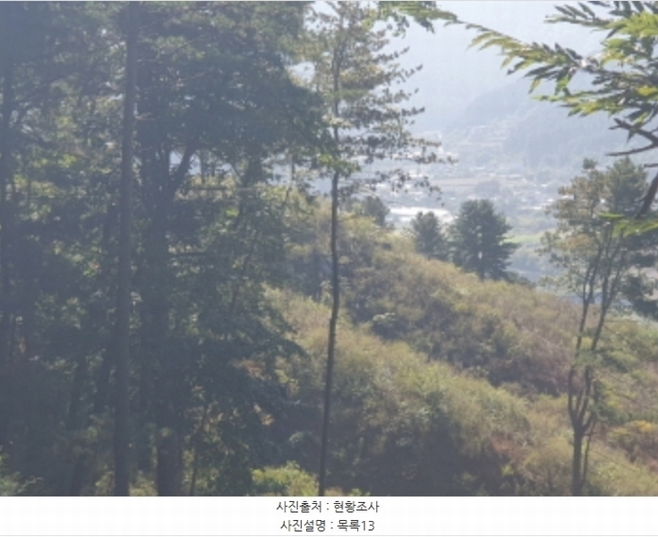 2024타경82350 경기도 가평군 상면 임초리 454 임야 경매 이미지