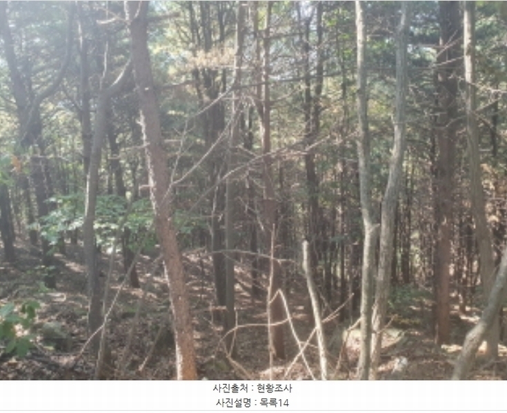 2024타경82350 경기도 가평군 상면 임초리 454 임야 경매 이미지