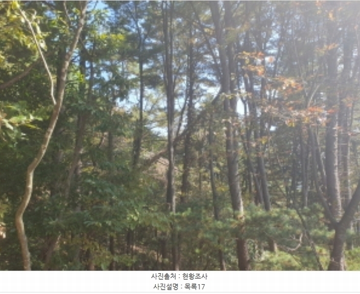 2024타경82350 경기도 가평군 상면 임초리 454 임야 경매 이미지