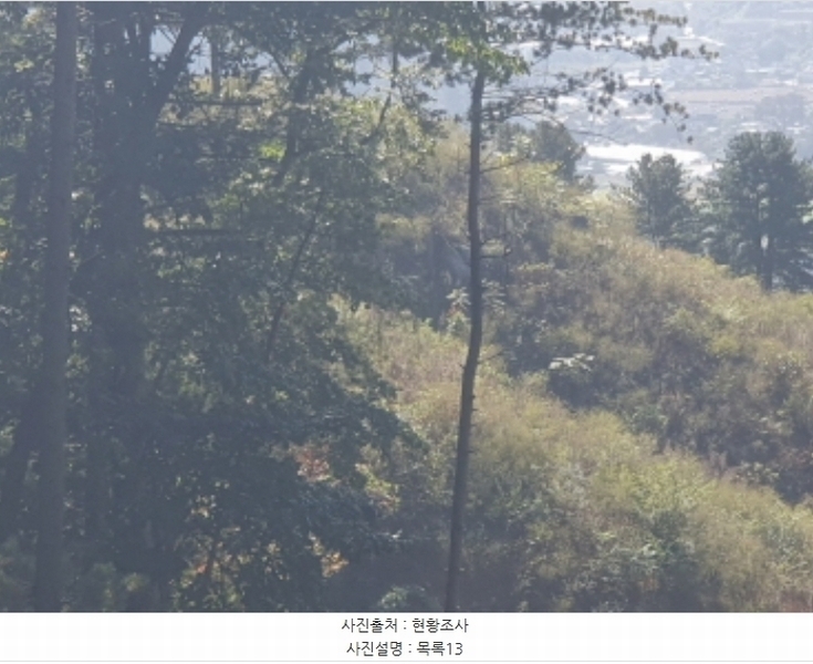 2024타경82350 경기도 가평군 상면 임초리 454 임야 경매 이미지