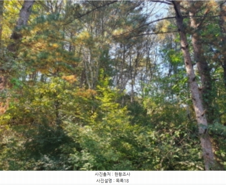2024타경82350 경기도 가평군 상면 임초리 454 임야 경매 이미지