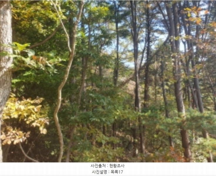 2024타경82350 경기도 가평군 상면 임초리 454 임야 경매 이미지