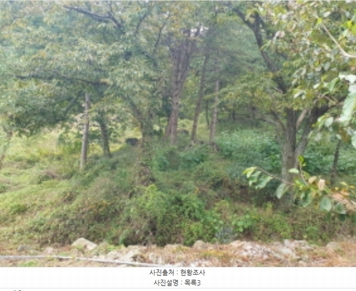2024타경82350 경기도 가평군 상면 임초리 454 임야 경매 이미지