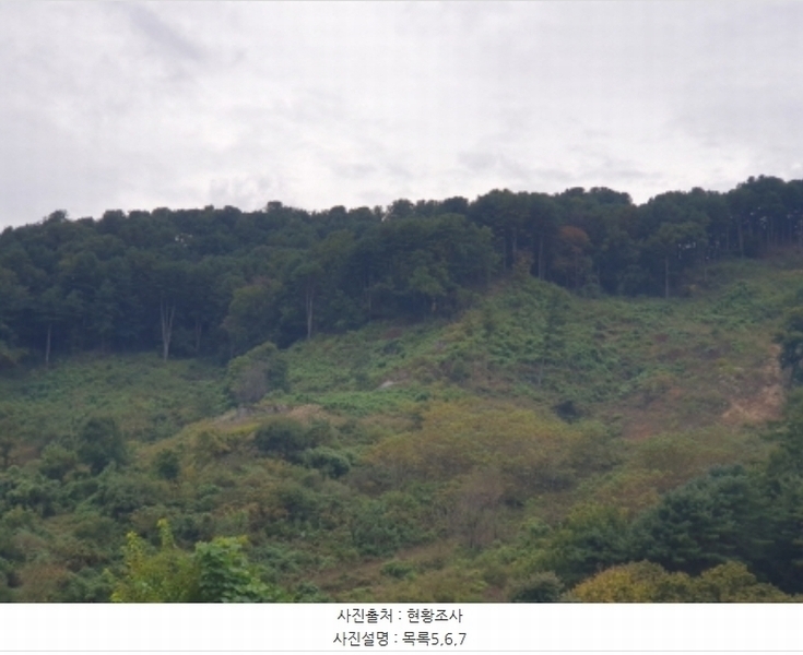 2024타경82350 경기도 가평군 상면 임초리 454 임야 경매 이미지
