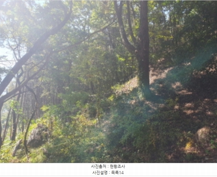 2024타경82350 경기도 가평군 상면 임초리 454 임야 경매 이미지