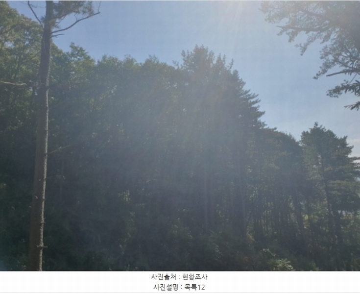 2024타경82350 경기도 가평군 상면 임초리 454 임야 경매 이미지