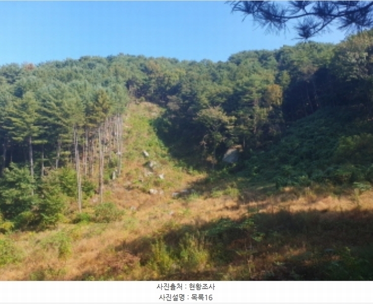 2024타경82350 경기도 가평군 상면 임초리 454 임야 경매 이미지
