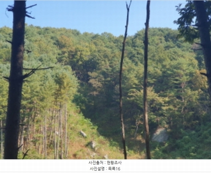 2024타경82350 경기도 가평군 상면 임초리 454 임야 경매 이미지