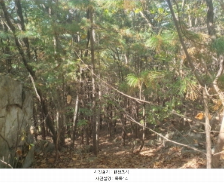 2024타경82350 경기도 가평군 상면 임초리 454 임야 경매 이미지