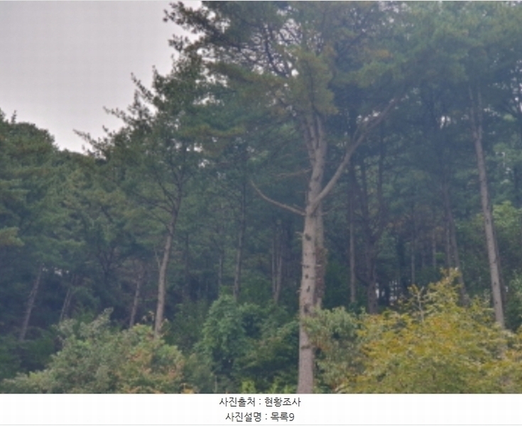 2024타경82350 경기도 가평군 상면 임초리 454 임야 경매 이미지