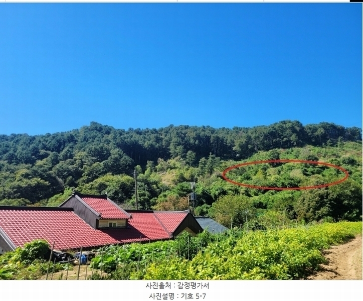 2024타경82350 경기도 가평군 상면 임초리 454 임야 경매 이미지