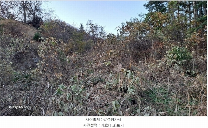 2024타경84998 경기도 남양주시 수동면 외방리 295 농지 경매 이미지