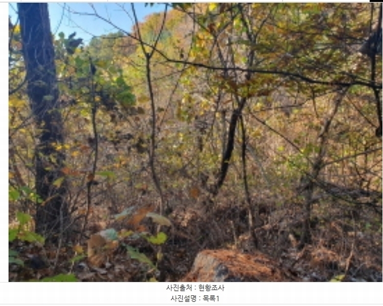 2024타경84998 경기도 남양주시 수동면 외방리 295 농지 경매 이미지