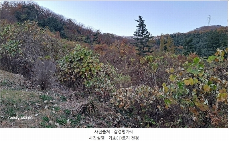 2024타경84998 경기도 남양주시 수동면 외방리 295 농지 경매 이미지