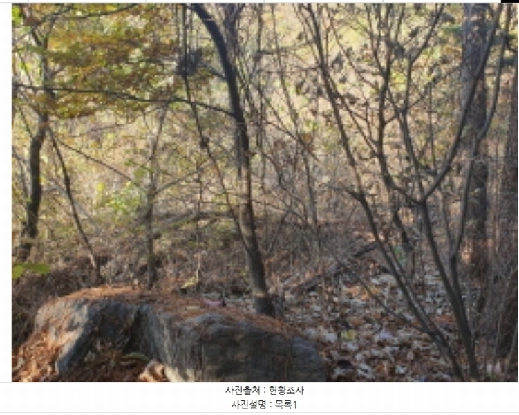 2024타경84998 경기도 남양주시 수동면 외방리 295 농지 경매 이미지