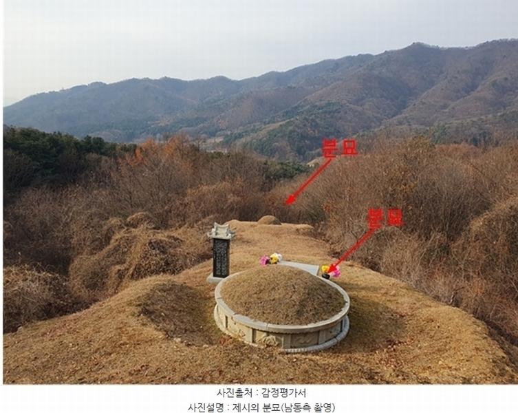 2024타경86451 경기도 남양주시 오남읍 팔현리 산61 임야 경매 이미지