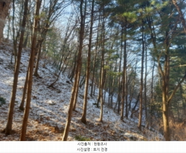 2024타경86451 경기도 남양주시 오남읍 팔현리 산61 임야 경매 이미지