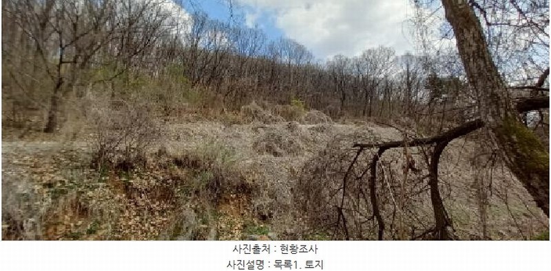 2025타경71934 경기도 연천군 군남면 진상리 254-3 농지 경매 이미지